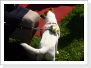Klicken Sie auf das Bild, um es zu vergr&ouml;&szlig;ern