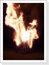 Klicken Sie auf das Bild, um es zu vergr&ouml;&szlig;ern